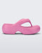 MELISSA FREE FUZZY PLATFORM